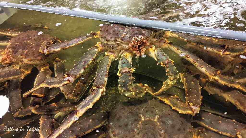 Addiction Aquatic Development's water tank